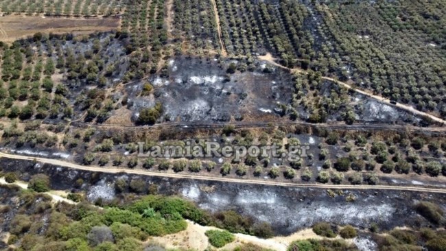 Η Λαμία την επόμενη μέρα της πυρκαγιάς- Εικόνες από drone [βίντεο, εικόνες]