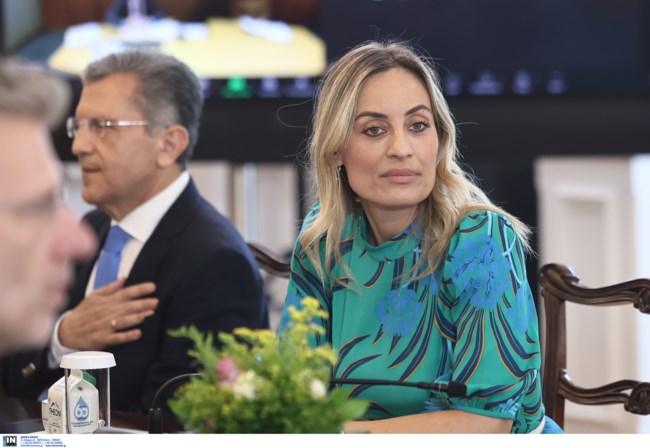 ΜΗΤΣΟΤΑΚΗΣ ΕΥΡΩΒΟΥΛΕΥΤΕΣ