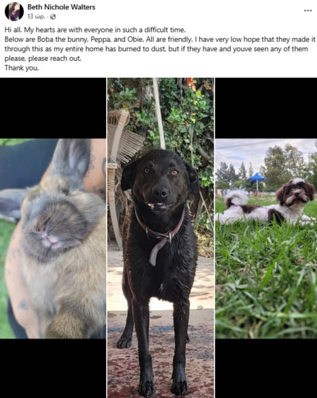 Τα ζώα θύματα των πυρκαγιών στην Καλιφόρνια: Ανυπολόγιστες οι απώλειες, πολλά αγνοούνται, υπερπλήρη τα καταφύγια