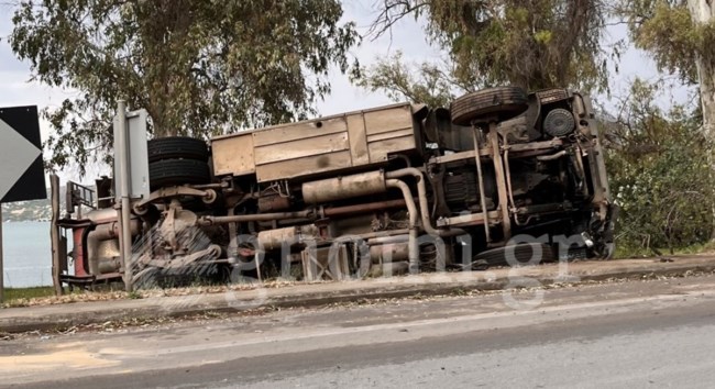 ΝΤΑΛΙΚΑ ΧΑΛΚΙΔΑ