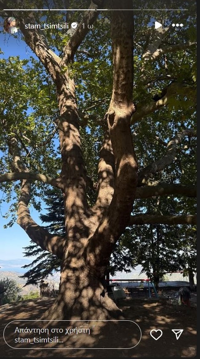 ΣΤΑΜΑΤΙΝΑ