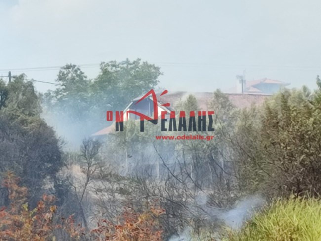 Μεγάλη φωτιά στην Πλάκα Λιτοχώρου: Μήνυμα 112 για εκκένωση - Ακινητοποιήθηκαν τρένα - Στις φλόγες ένα εξοχικό