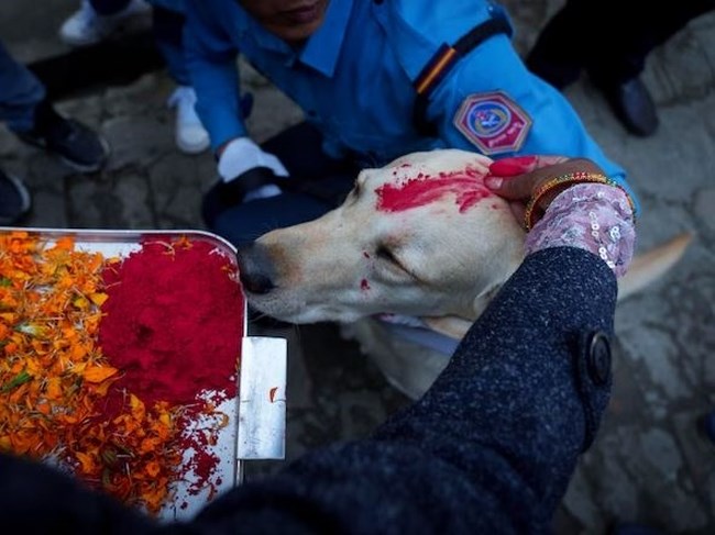nepal