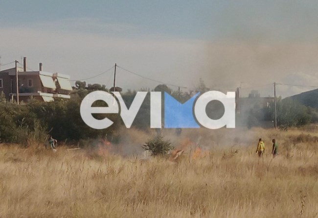 Φωτιά στην Χαλκίδα: Κοντά σε σπίτια οι φλόγες - Οι πρώτες εικόνες