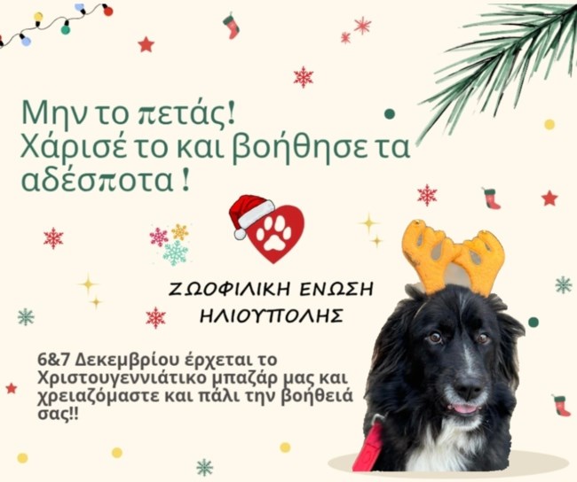 Η Ζωοφιλική Ηλιούπολης σε κατάσταση bazaar-ικού συναγερμού: Ψάχνουν θησαυρούς κρυμμένους σε σπίτια, πατάρια και αυλές