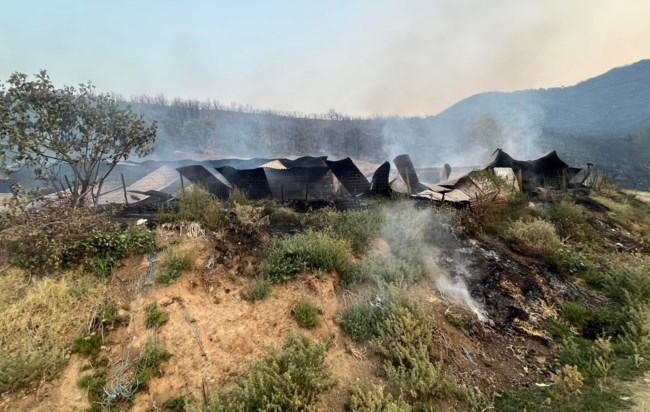 Υπό έλεγχο η πυρκαγιά στη Μακρακώμη - Σώθηκαν σπίτια, κάηκαν ποιμνιοστάσια με ζώα [εικόνες]