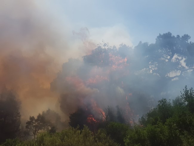φωτιά Έβρος