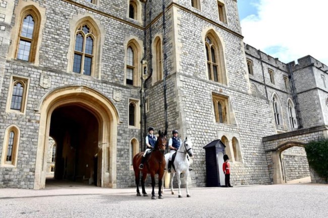 QUEEN HORSES