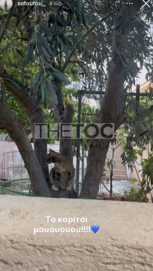 H Σοφία Αλιμπέρτη στην αυλή του σπιτιού της στην Αίγινα