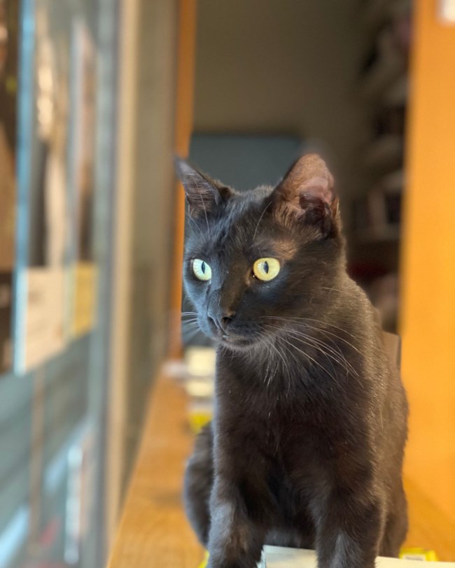 θεατρο πορεια