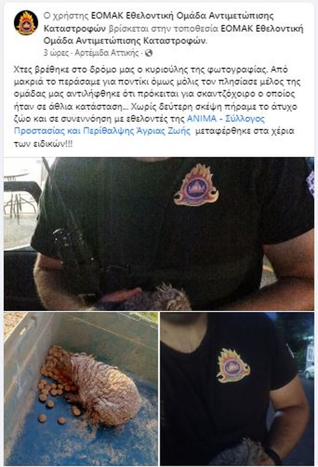 skatzoxoiros