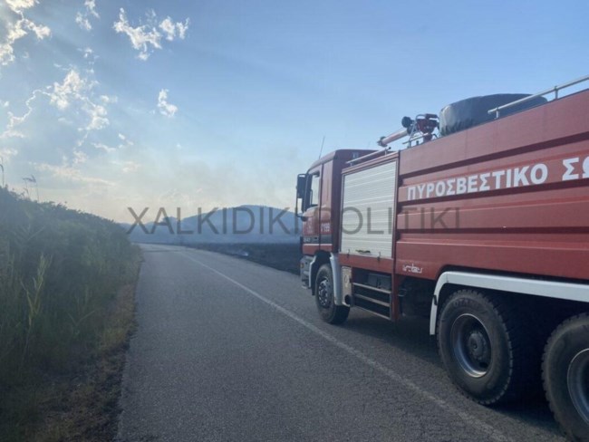 Φωτιά Χαλκιδική