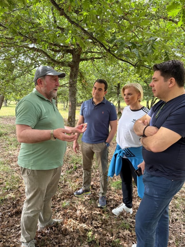 ΣΚΡΕΚΑΣ ΤΣΟΥΝΗΣ