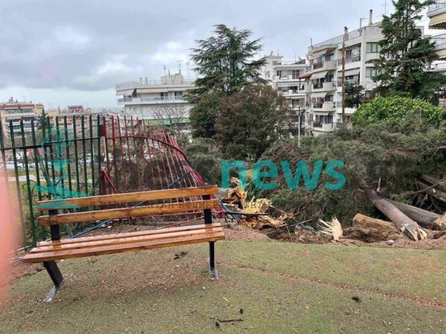 Θεσσαλονίκη: Ζημιές από τους ισχυρούς ανέμους - Δέντρα καταπλάκωσαν την είσοδο νηπιαγωγείου [εικόνες]