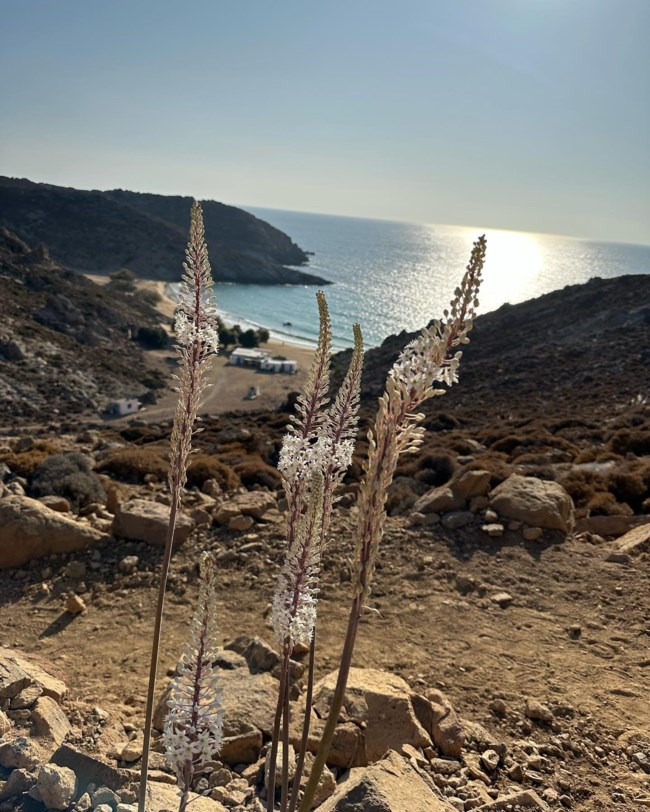Τζένη Μπαλατσινού: Η απίθανη βόλτα της στην φθινοπωρινή Πάτμο - Η θέα και η γαλήνια θάλασσα