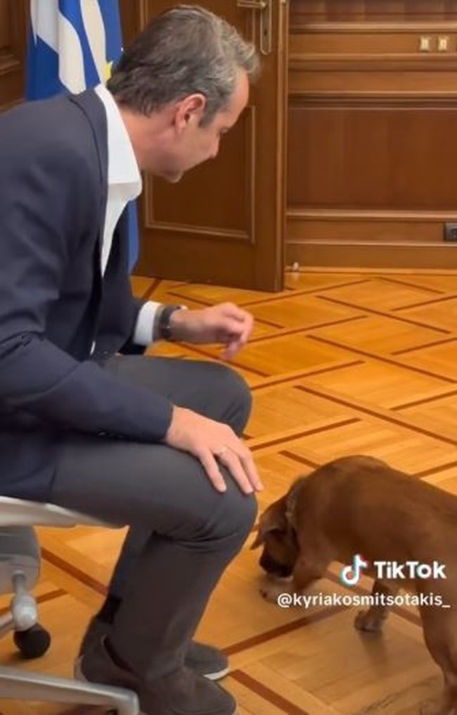 μητσοτακης πινατ