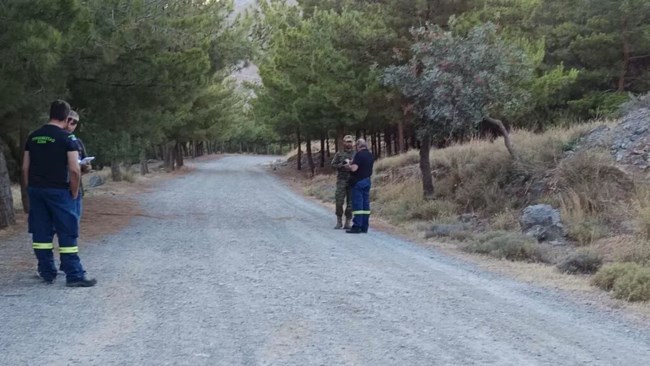 δάσος Ηράκλειο