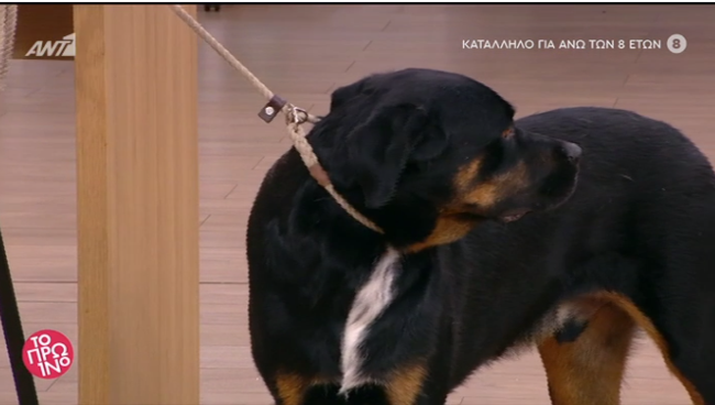πατερα