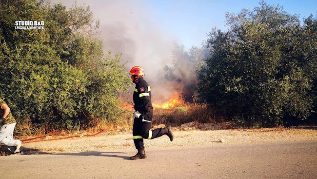 Φωτιά στην Αργολίδα