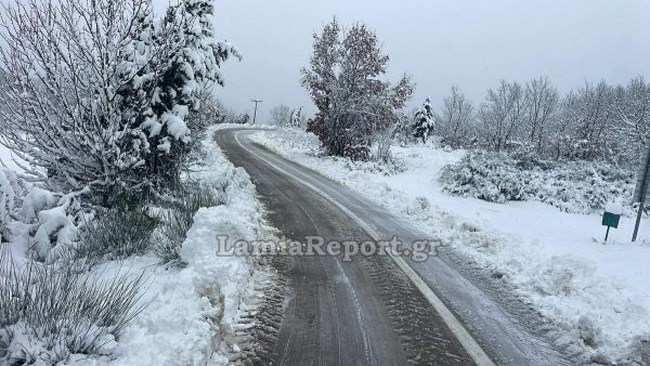ΧΙΟΝΙΑ ΦΘΙΩΤΙΔΑ