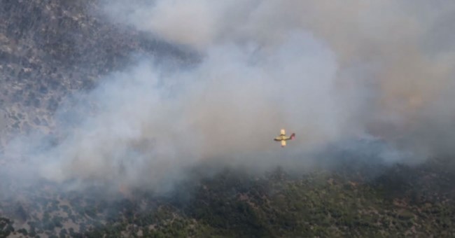 ΕΛΙΚΟΠΤΕΡΟ ΣΥΝΤΟΝΙΣΤΙΚΟ