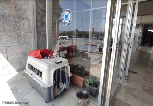Μόνο αγανάκτηση: Εγκατέλειψαν τον σκύλο τους κλεισμένο στο κλουβί του, ανάμεσα σε θάμνους, στο αεροδρόμιο "Μακεδονία"