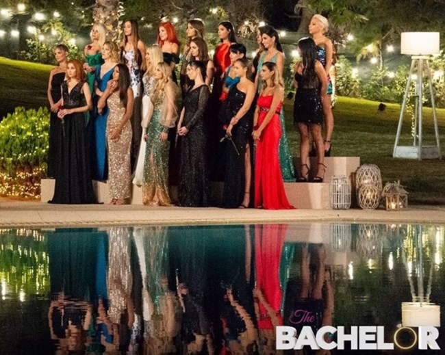 The-Bachelor
