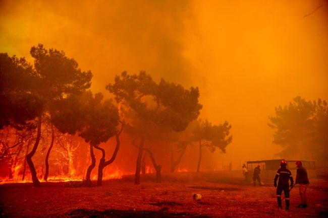 Φωτιά στη Λέσβο: Μεγάλη αναζωπύρωση λόγω των ισχυρών ανέμων – Στη μάχη με τις φλόγες 7 αεροσκάφη και 2 ελικόπτερα