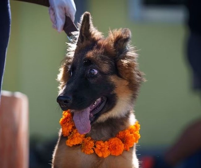 nepal