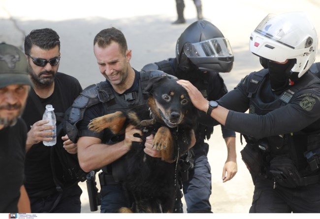 σκυλος