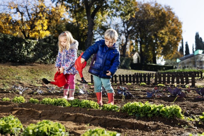 ΑΜΕΡΙΚΑΝΙΚΗ ΓΕΩΡΓΙΚΗ ΣΧΟΛΗ