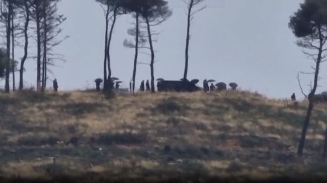 Το μνημόσυνο του τέως στο Ουίνδσορ: Η αναβολή, η λάθος ημερομηνία και το πρόβλημα υγείας του Καρόλου και της Κέιτ