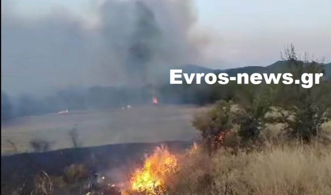 Φωτιά σε αγροτοδασική έκταση στη Μελία Αλεξανδρούπολης - Ισχυρές δυνάμεις στο σημείο