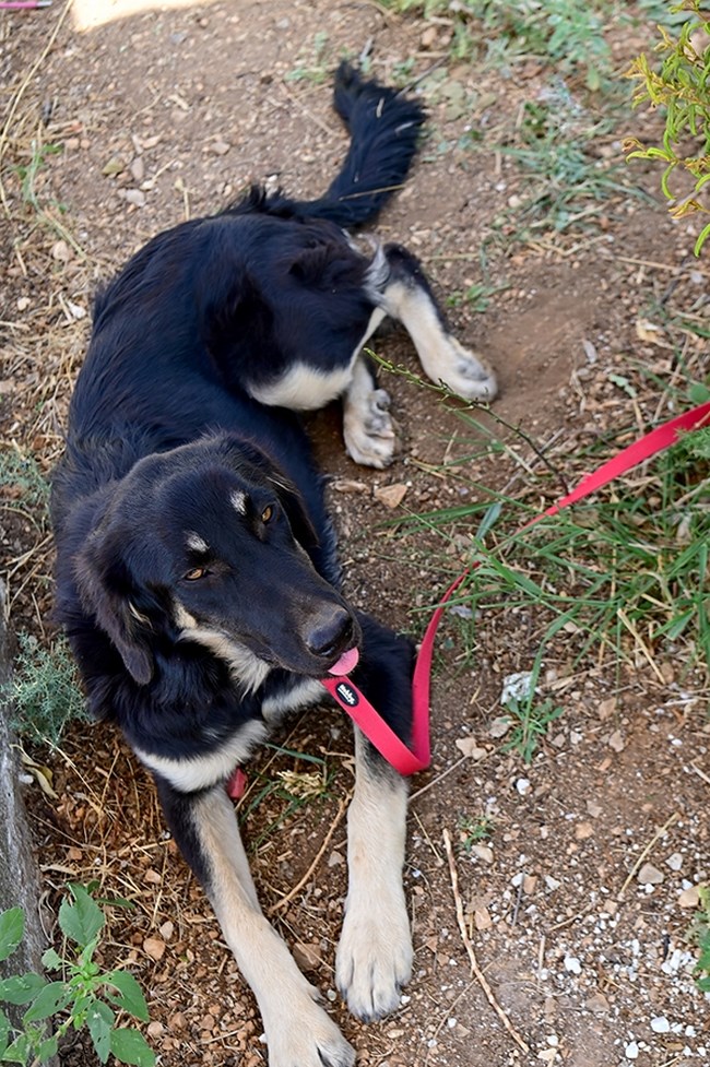 Σάντυ: Εγώ την ελπίδα μου δεν την χάνω... Κάποιος, κάποτε θα ρωτήσει και για μένα