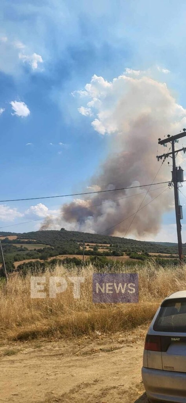 Συναγερμός στις Σέρρες: Ξέσπασε πυρκαγιά στη Νιγρίτα – Σε δύσβατο σημείο, δεν απειλεί κατοικίες