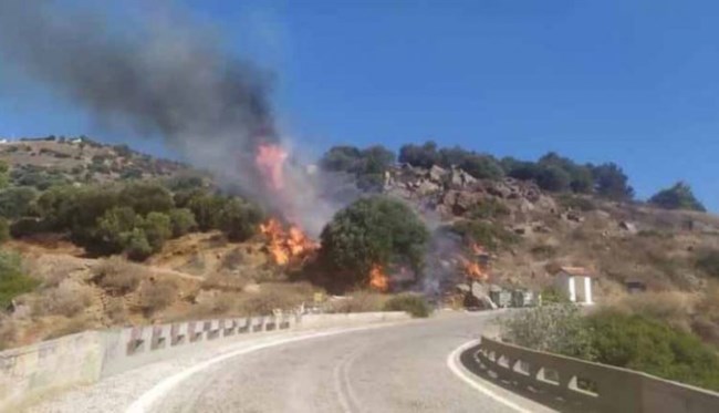 ΠΥΡΚΑΓΙΑ ΛΑΥΡΙΟ