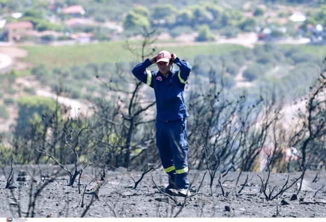 Κερατέα: Η απόγνωση του πυροσβέστη στη θέα της καταστροφής από τη φωτιά [εικόνες]