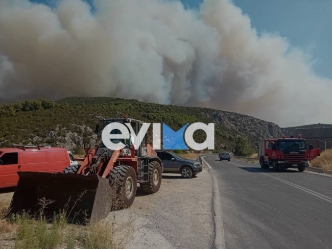 Φωτιά στην Εύβοια