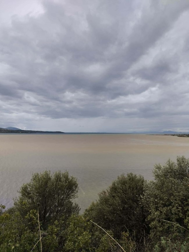 Φούσκωσε χείμαρρος στην Αμφιλοχία, ανησυχία στους κατοίκους– Γέμισε λάσπη ο Αμβρακικός [βίντεο]