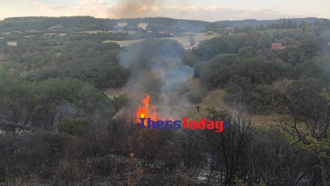 Φωτιά στο Ωραιόκαστρο
