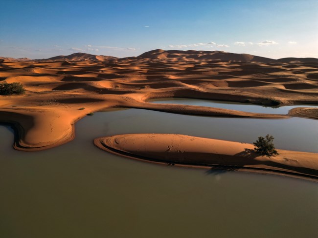 sahara