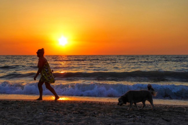 σκυλος διακοπες ηρεμια