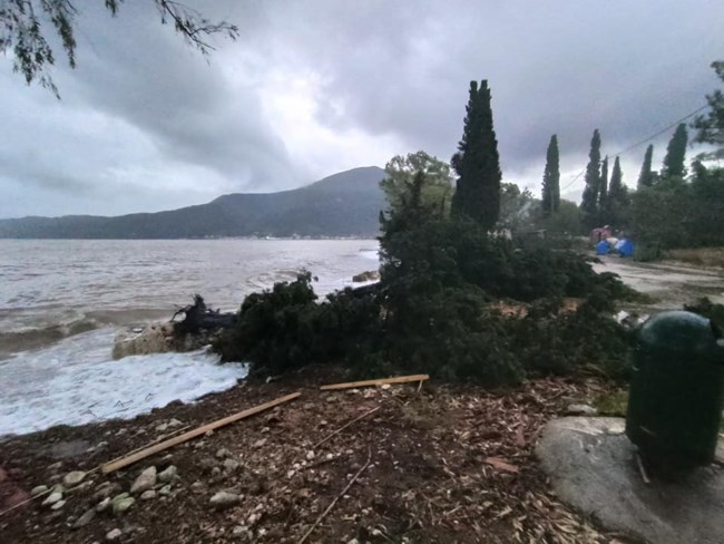 Ιανός Κεφαλλονιά