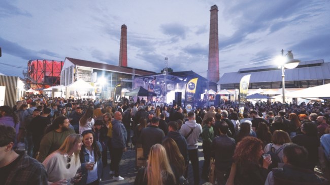 Beer Festival