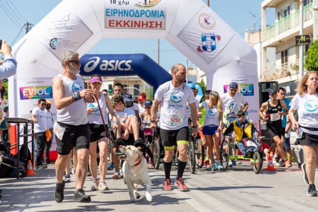 Ειρηνοδρομία