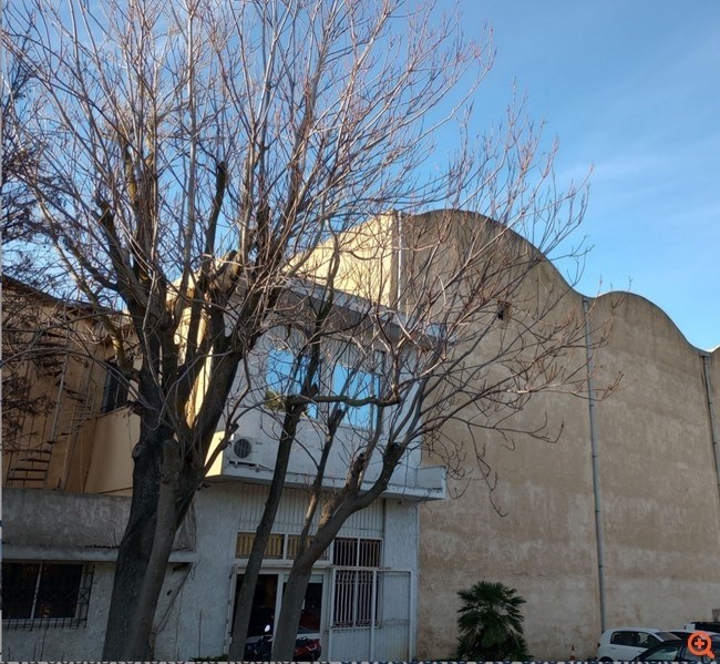 Στούντιο Άλφα: Από τη χρυσή εποχή του παλιού κινηματογράφου και της τηλεόρασης στη δίνη των πλειστηριασμών