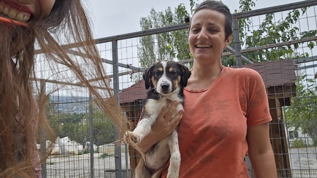 Σώστε ένα αδεσποτάκι: Η Μαργκό, από το κυνοκομείο της Τρίπολης - Χρειάζονται περιγραφές και συστάσεις;
