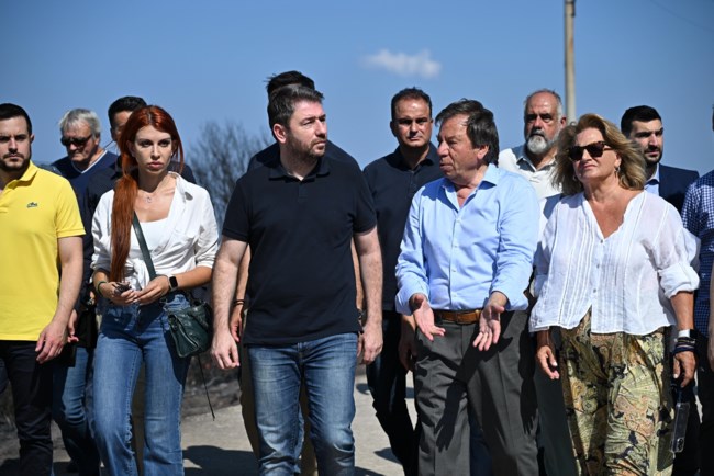 Ανδρουλάκης στα καμένα της Σαρωνίδας: Αντί η κυβέρνηση να χύνει κροκοδείλια δάκρυα, να πάρει συγκεκριμένες πρωτοβουλίες