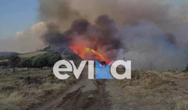 Φωτιά στην Εύβοια