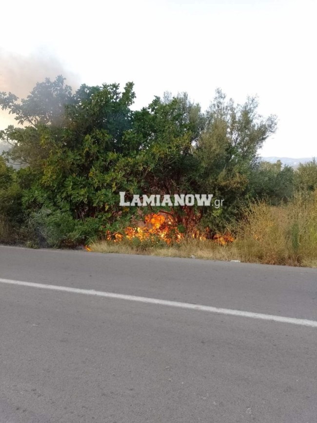 Φωτιά στη Λαμία: Άμεση η επέμβαση της Πυροσβεστικής